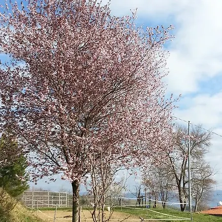 Casa Le Rote * Poppi